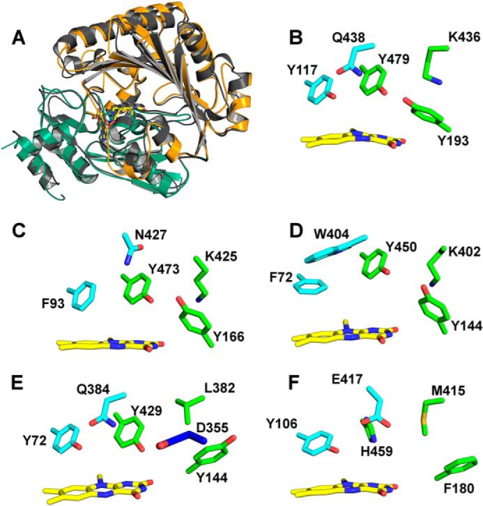 FIGURE 7.