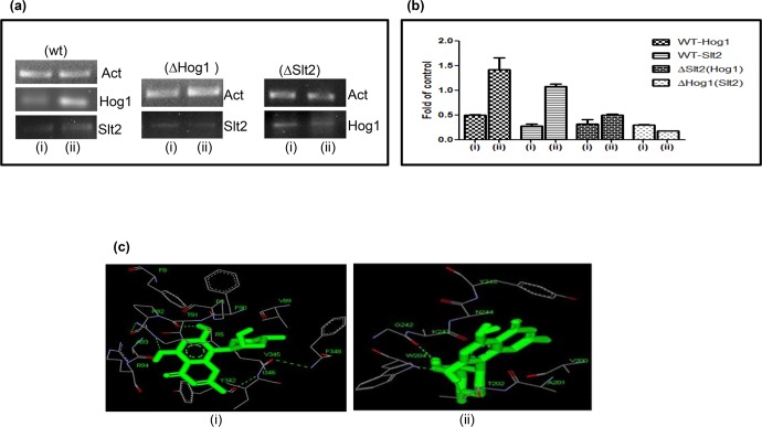 Fig 4