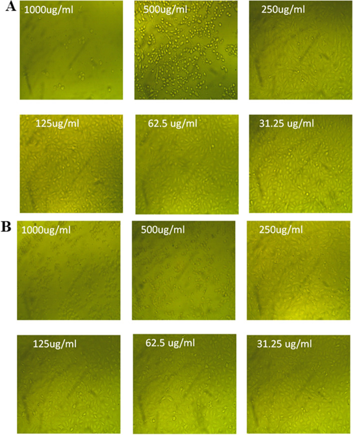 Fig. 12