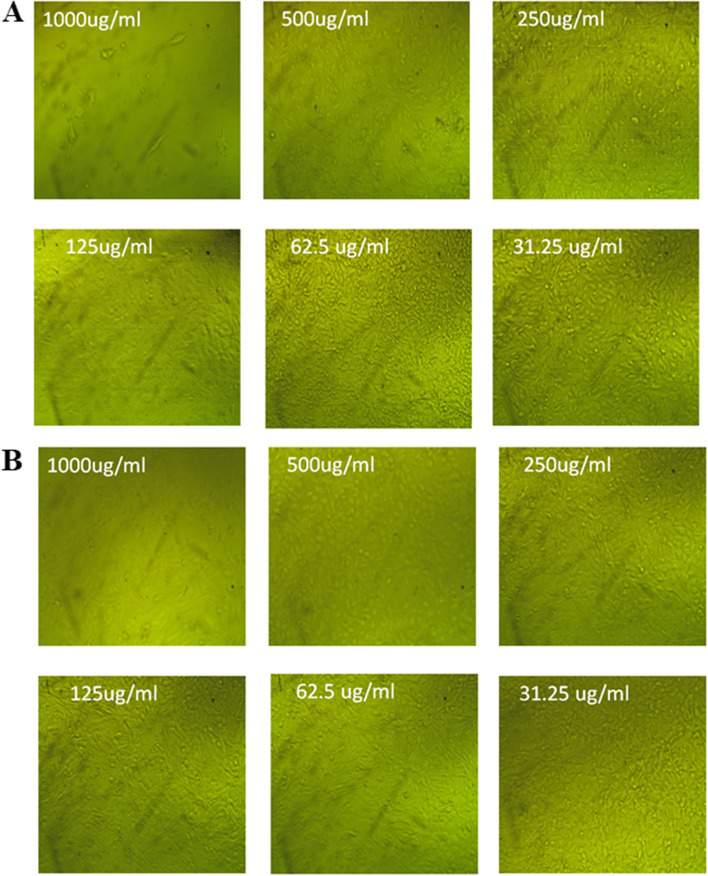 Fig. 11