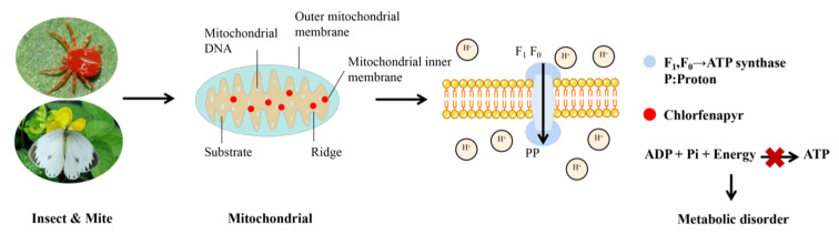 Figure 10