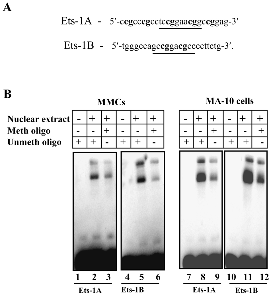 Fig. 8