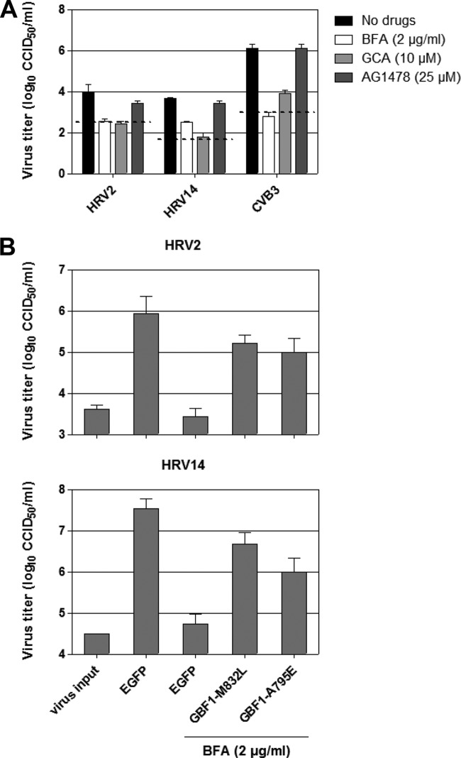 FIG 2