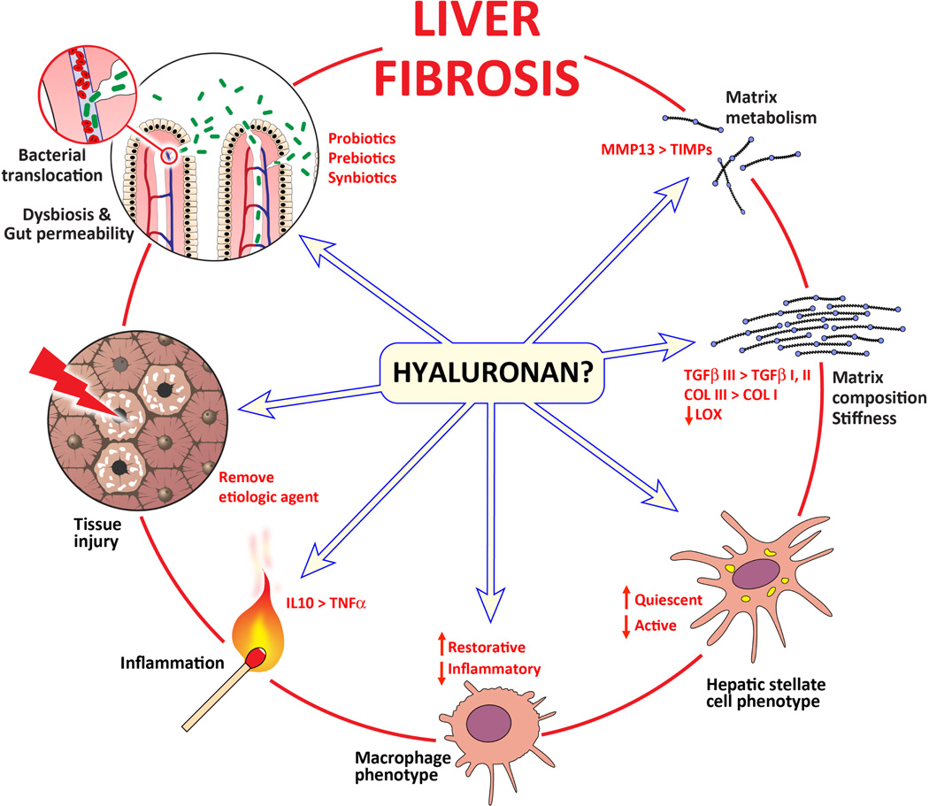 Fig. (1)