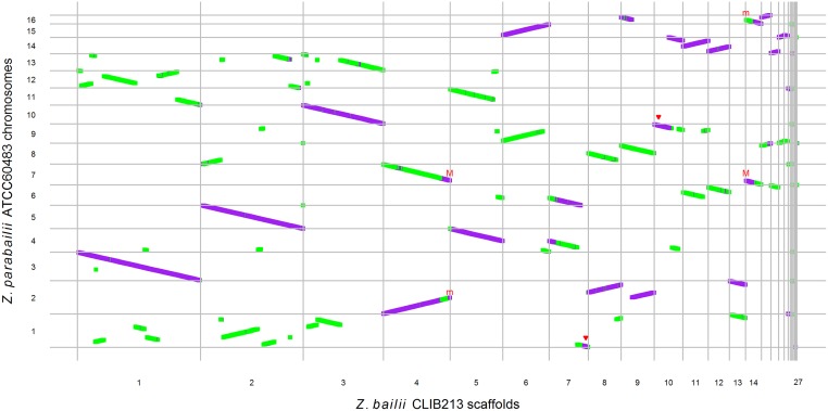 Fig 3