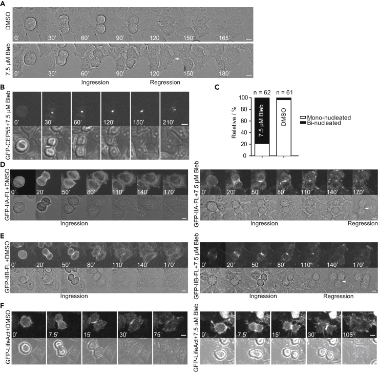 Figure 3