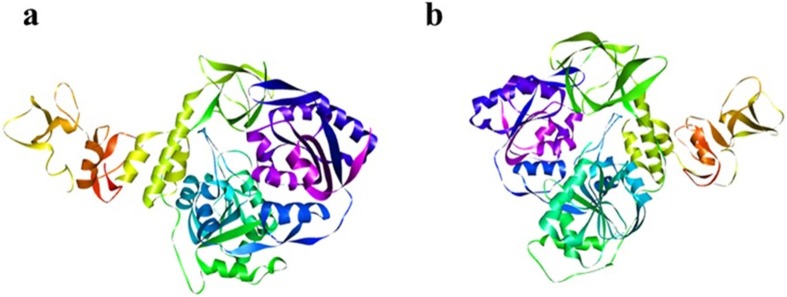 Fig. 1