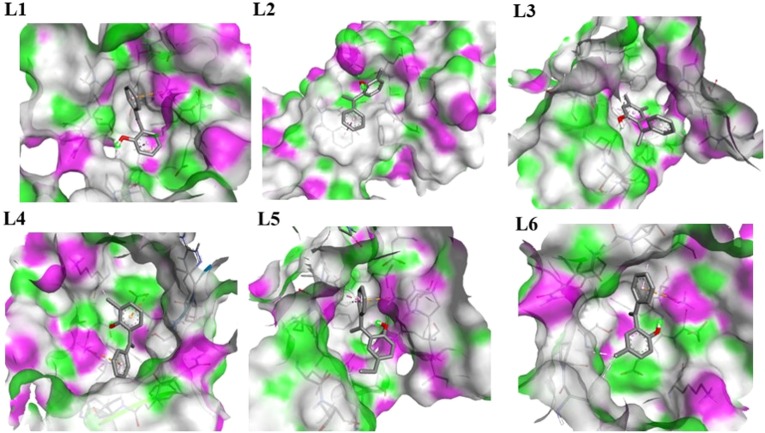 Fig. 10