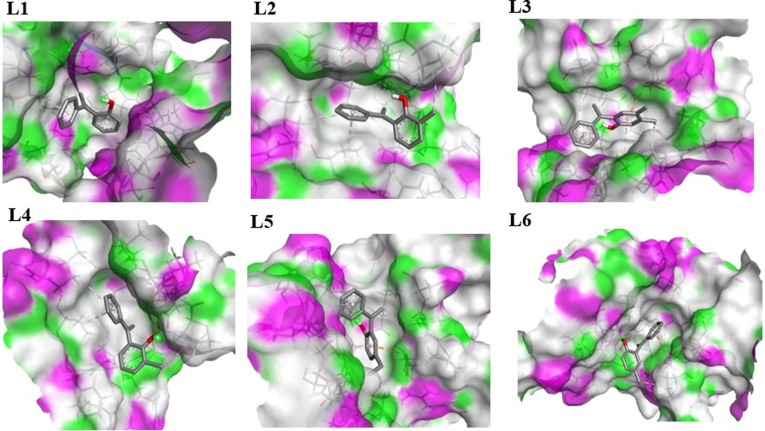 Fig. 9