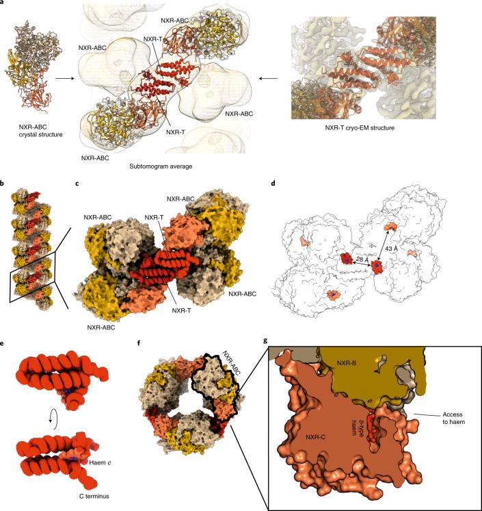 Fig. 4