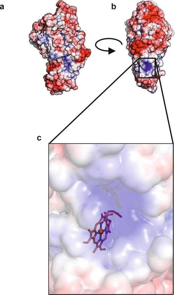 Extended Data Fig. 8