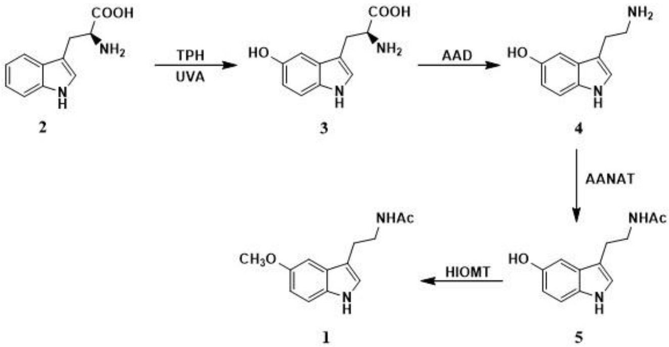 Scheme 1.