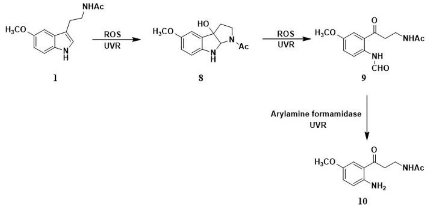 Scheme 3.