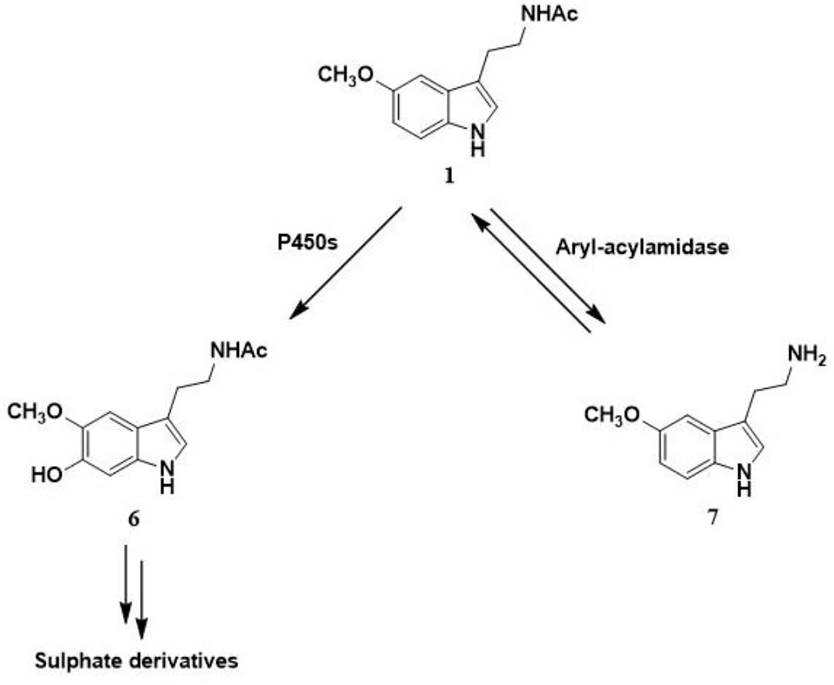 Scheme 2.