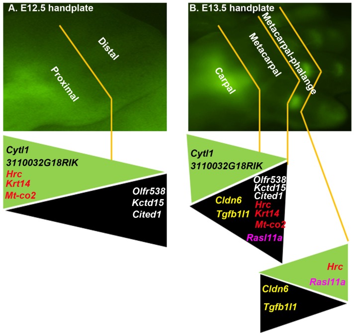 Figure 2.