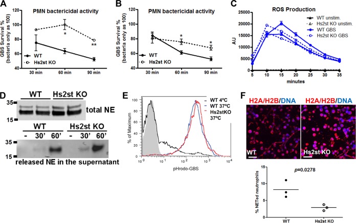 FIG 4