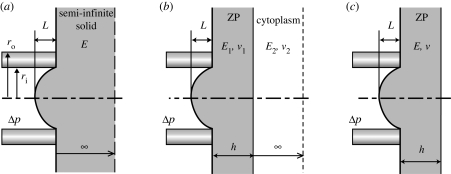 Figure 2.