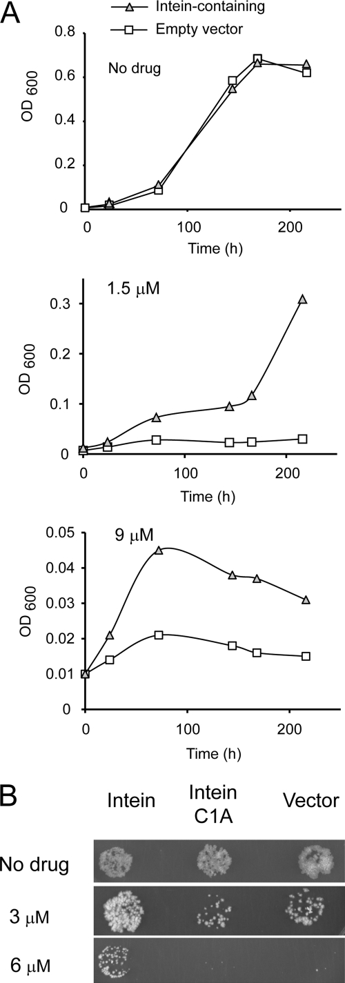 FIGURE 6.