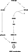 Fig. 8.