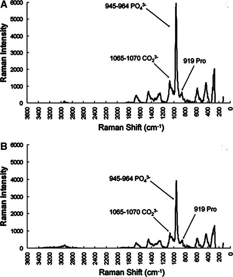 Fig. 6