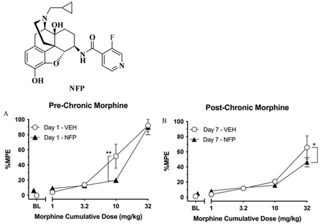 graphic file with name nihms-1545370-f0001.jpg