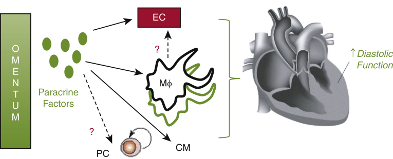 Figure E9