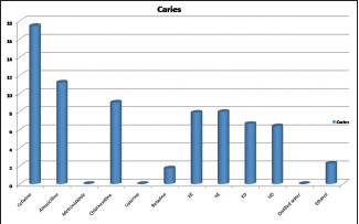 Graph 10