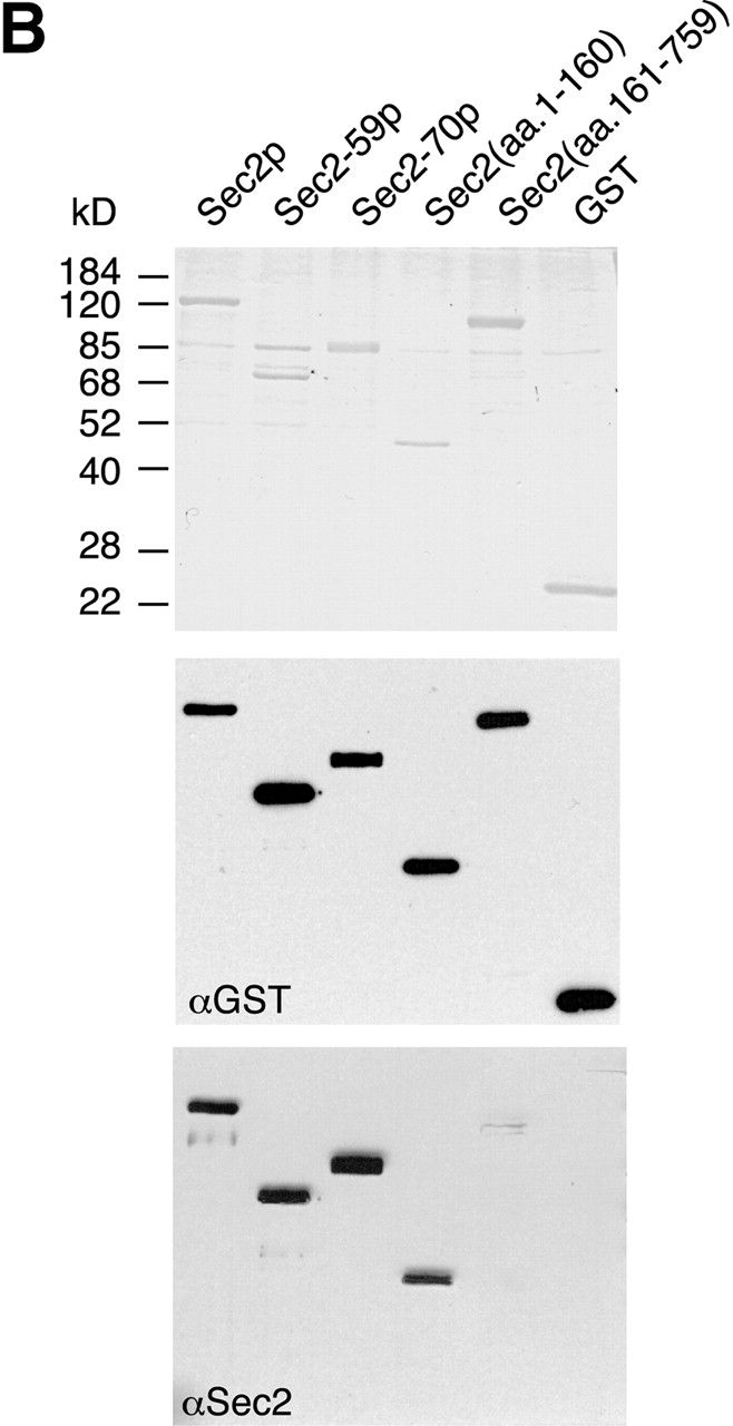 Figure7.