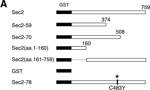 Figure7.