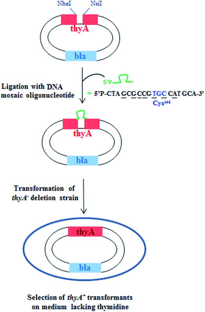 Fig. 5