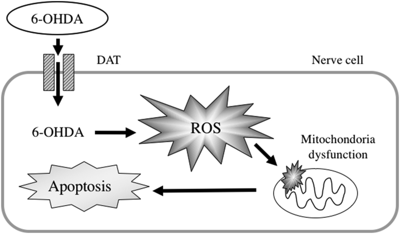 Figure 1