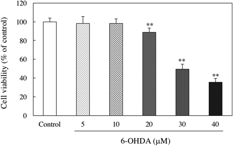 Figure 5