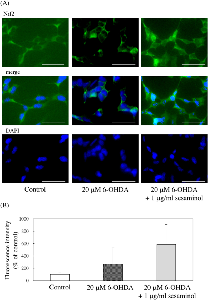 Figure 11