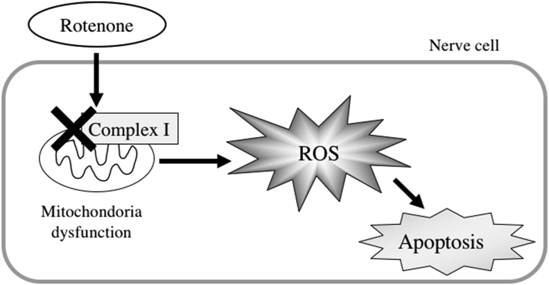 Figure 2