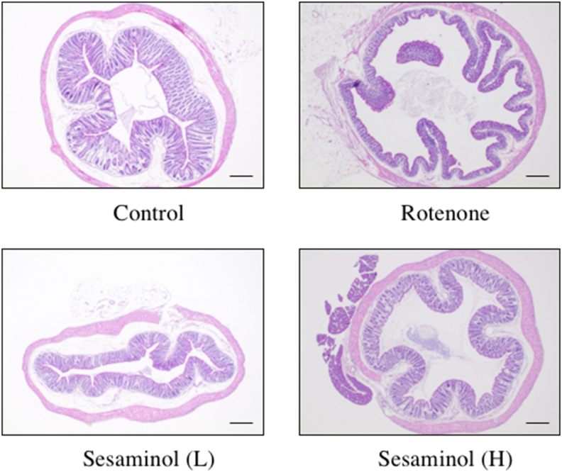 Figure 16