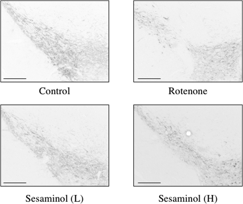 Figure 17