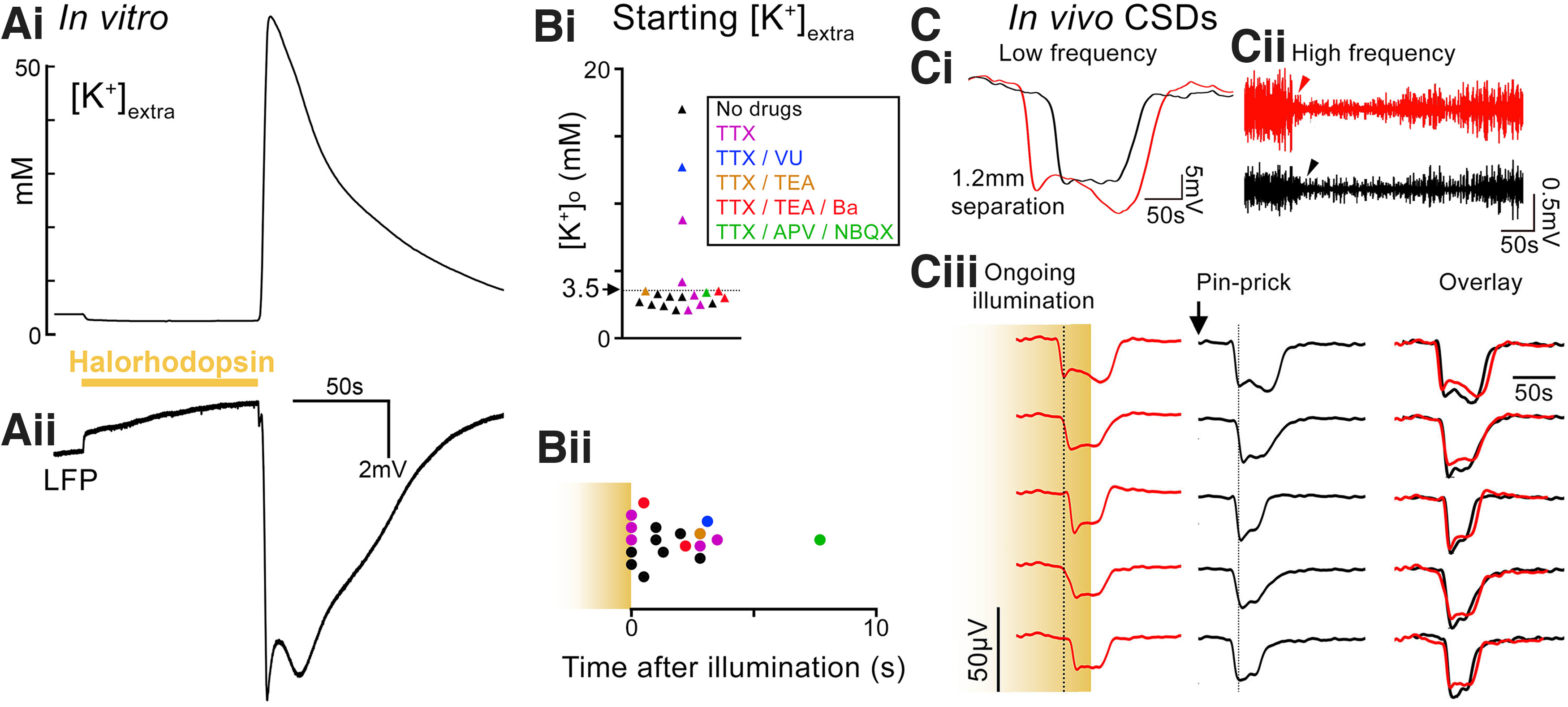 Figure 6.