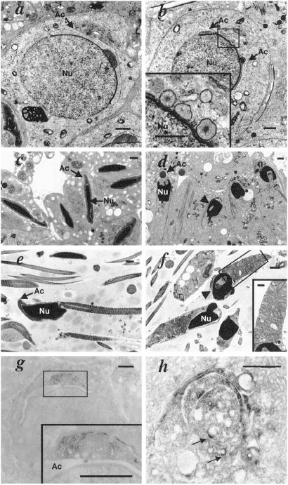 Fig 4.