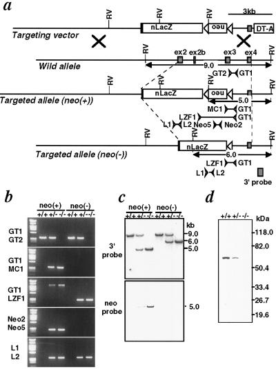 Fig 2.