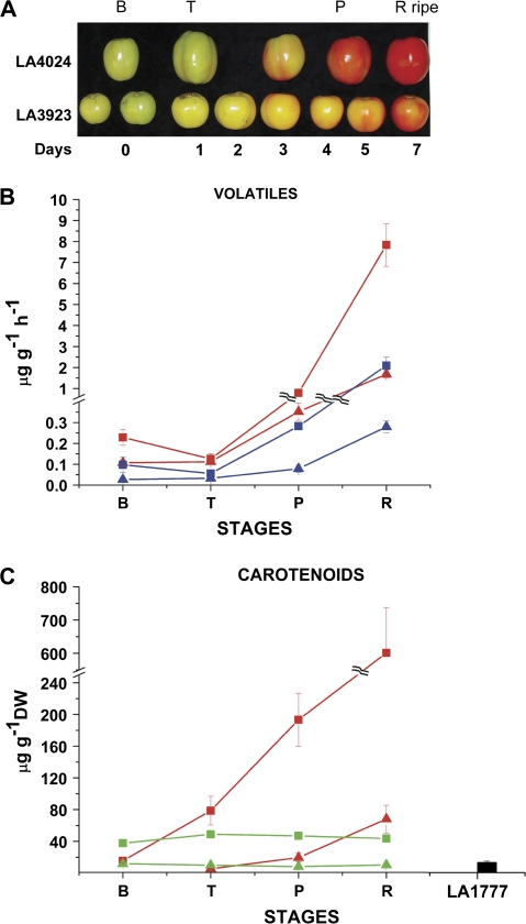 Fig. 3.