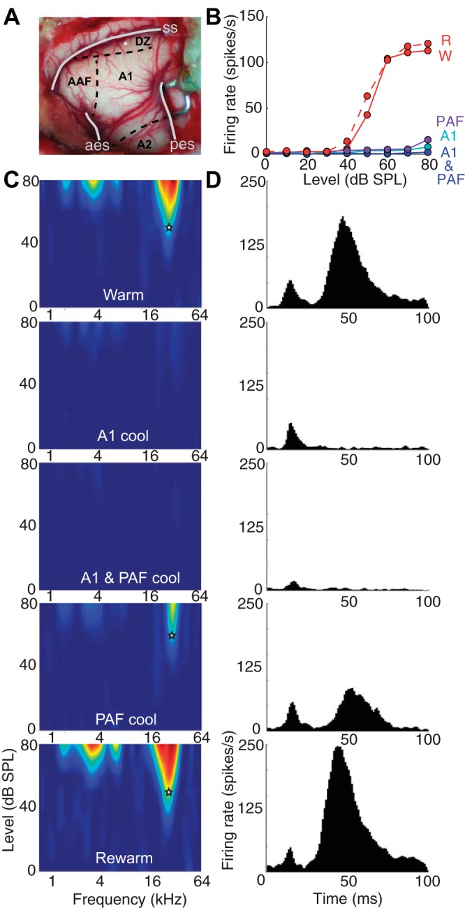 Fig. 11.