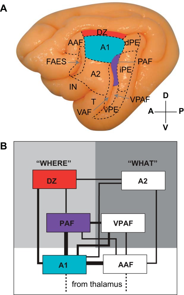 Fig. 1.