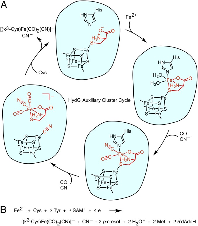 Fig. 6.