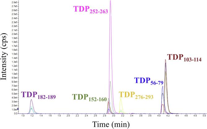 Fig. 2