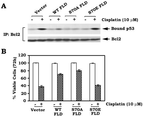 FIG. 10.