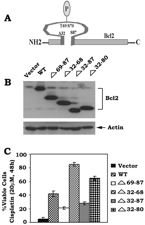 FIG. 7.