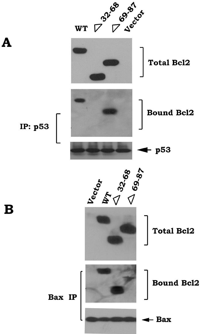 FIG.8.