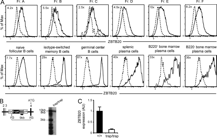 Figure 1.