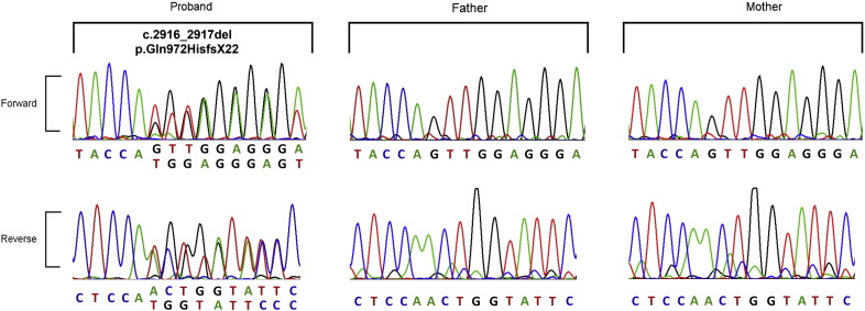 Fig. 2