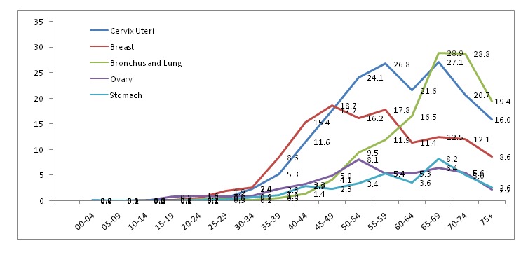 Figure 3: